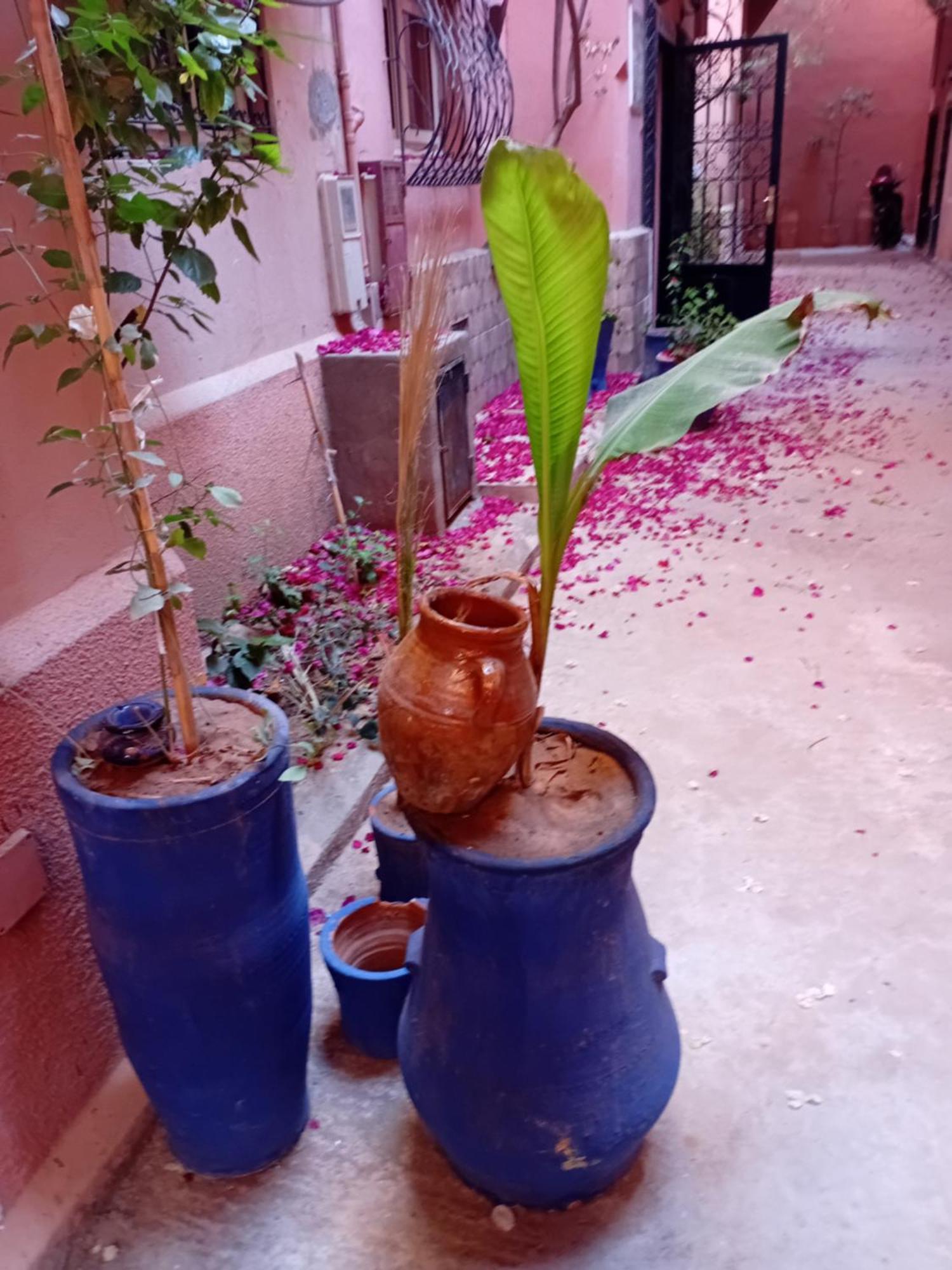 Riad Le Shams Μαρακές Εξωτερικό φωτογραφία